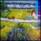 Dipinti ad Olio -  - Tratto da Van Gogh "Campo"